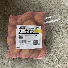 じゃがいも　種芋　メークイン　余り（約2Kg）