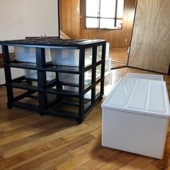 プラスチック収納ケース(押入れに良👌)の画像