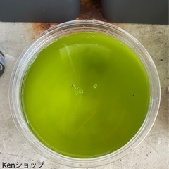 グリーンウォーター 500mlから〜 飼育水 種水 青水 メダカ 金魚