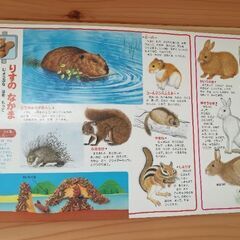 どうぶつ絵本２冊の画像