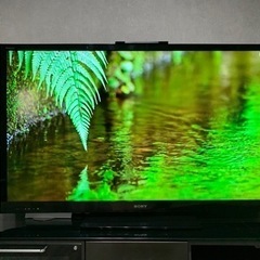 予約済　買い替えの為　SONY 55型TV ブルーレイレコーダーセット　BRAVIA