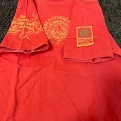 ①中古Tシャツ（小さな穴あきあり）の画像