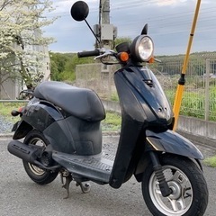 送料無料も タイヤ新品 メンテ済 ホンダ トゥデイ 原付 ディオ スクーター　ウーバーの画像