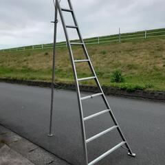 引取り者決まりました。三脚脚立あげます。