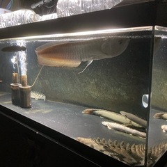 決まりました！