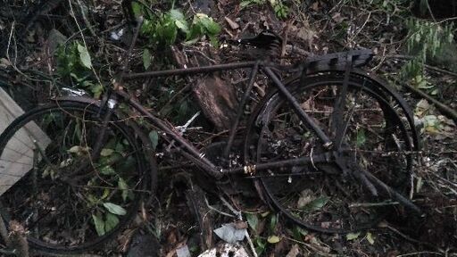 森や林に溶け込む　廃墟　廃家に最適な　自転車