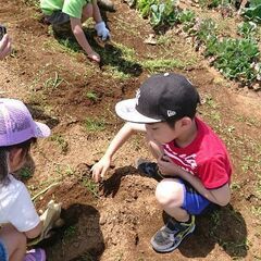 【KIDSスポーツ体験教室】4歳～！楽しく身体を動かそう！体験無料！の画像