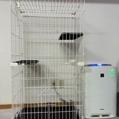 TRIーONE吉田LPロープアスリートモデル＆TourADタオルセット