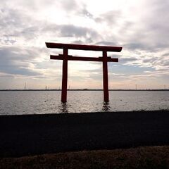 再登録しました。