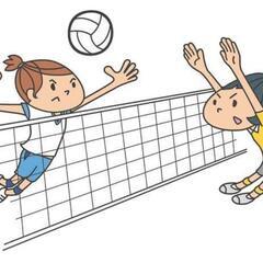 都内の男女混合のバレーの試合にでたい方