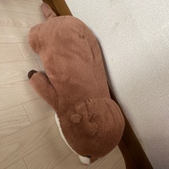 ぬいぐるみ　カワウソ