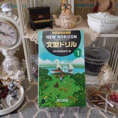 ☆お話中ニュー・ホライズン中学１年　　　※あり