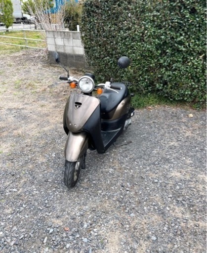 258. 動画あり　ホンダ　AF67トゥデイ　原付　バイク　50cc   車体