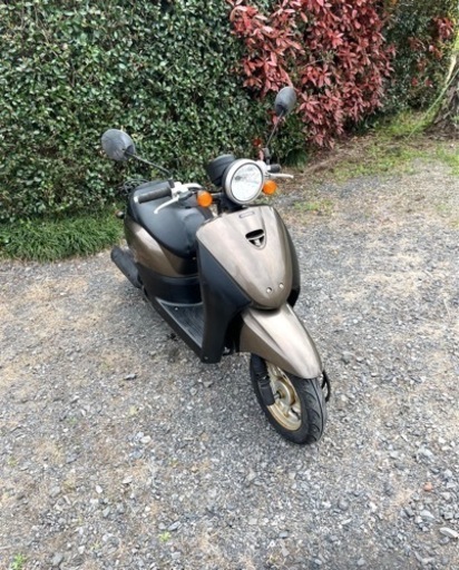 258. 動画あり　ホンダ　AF67トゥデイ　原付　バイク　50cc   車体
