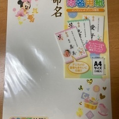 命名用紙