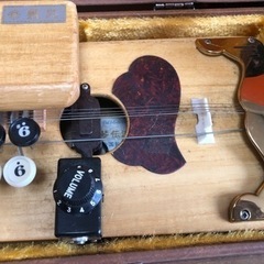 【大正琴】ハード、ソフトケース付き　琴伝流　敷島の画像