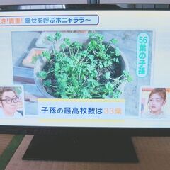 美品！24インチ 液晶テレビ PCモニター ディスプレイ 地デジ内臓 AT-24L01SR/ です。の画像