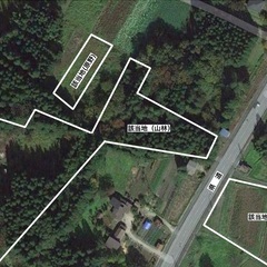 山林お売りします