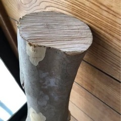 サルスベリ　原木　バトニング棒　キャンプ　インテリアの画像