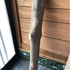サルスベリ　原木　バトニング棒　キャンプ　インテリア