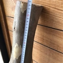 サルスベリ　原木　バトニング棒　キャンプ　インテリアの画像