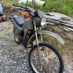 ts50w ハスラー！！　書類有り