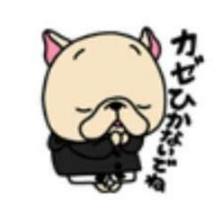 🔷全国LINEでグループトーク🔶【ワンコの居る方募集💚】 - メンバー募集