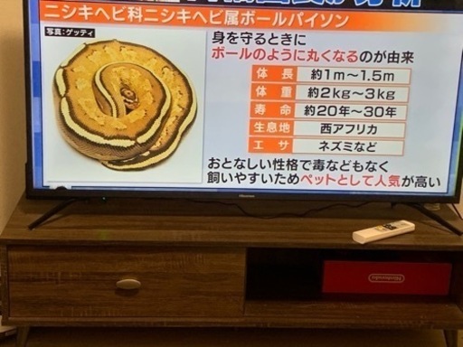 50型TV(2020年製)とテレビ台のセット