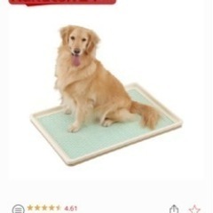 犬用トイレトレー☆特大サイズ　