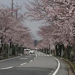 走ってますか？ − 千葉県