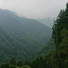 走ってますか？ - メンバー募集