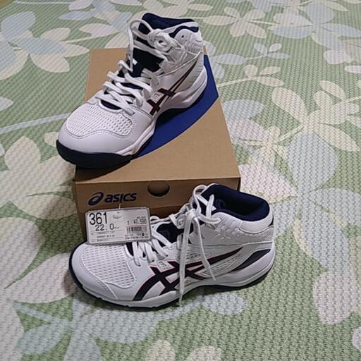 バッシューです