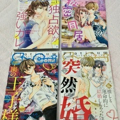 【5/29で廃棄予定】Sho-Comi ふろく Platinum...