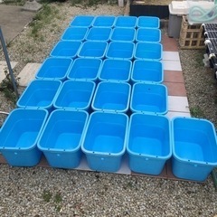 メダカ即売会の追加情報