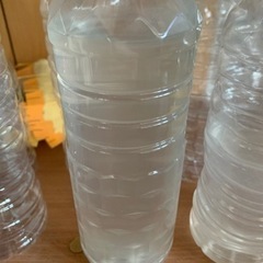 メダカ　稚魚の餌　ゾウリムシ　100円or300円