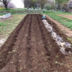 農活メンバー募集中