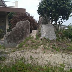 大きな庭石の数々、どなたか無料でお持ち帰りくださいませんか？の画像