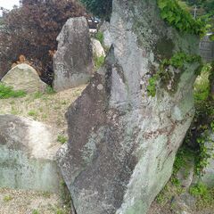 大きな庭石の数々、どなたか無料でお持ち帰りくださいませんか？の画像