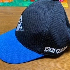 北海道日本ハムファイターズ 2022春季キャンプ 限定キャップの画像