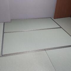 畳　美品