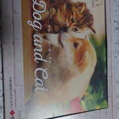 2022年卓上カレンダー