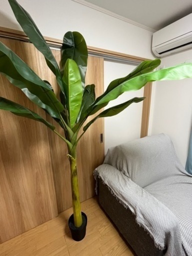 人工観葉植物