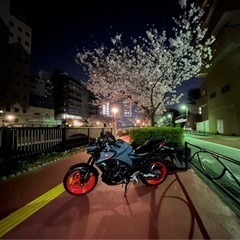mt03 2021 