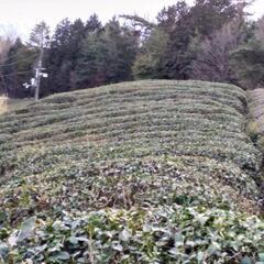 奈良南部東部地域コミュニティ - その他