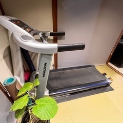 ルームランナーの画像