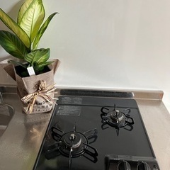 佐賀市 🌸アート21 201号室 【初期費用25,000円 フリーレント最大3ヶ月】内見可能！最短翌日入居可能！クレカ払い対応 - 不動産