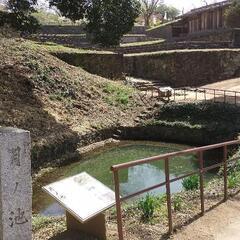 月末土曜日 金山ゆったりハイキング、一緒に始めてみませんか？ − 群馬県