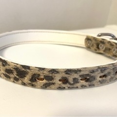 犬首輪　(10)の画像