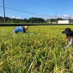 農業一緒にやりませんか？