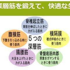 ボディシェイカー(ブルブルマシン)　中古品の画像